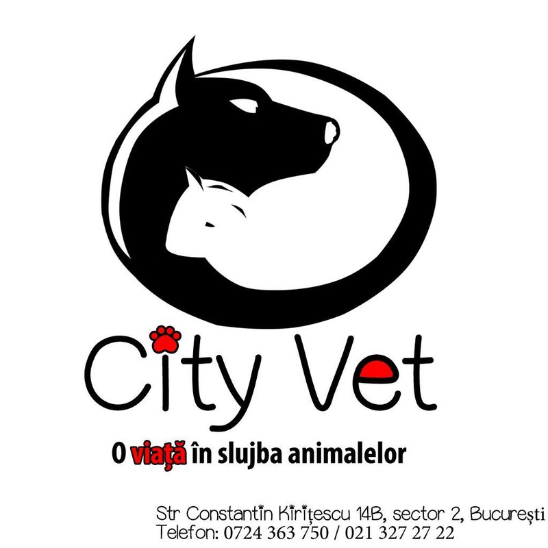 City Vet - Cabinet veterinar